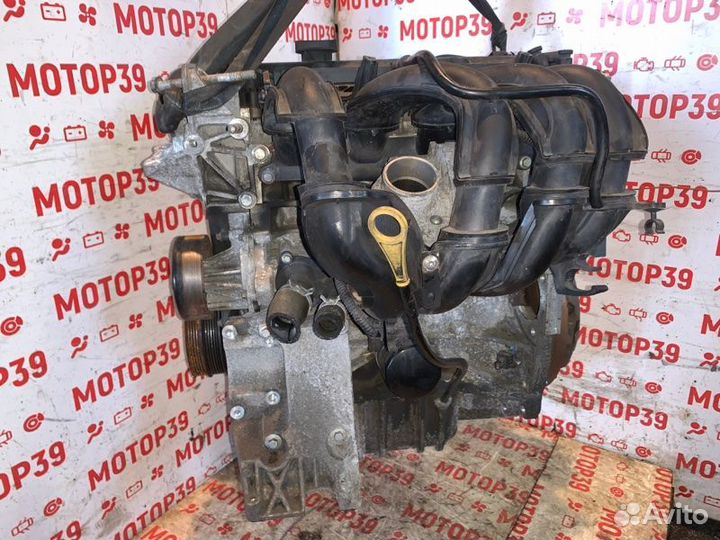 Двигатель Ford Focus 1.6 I shda 2009