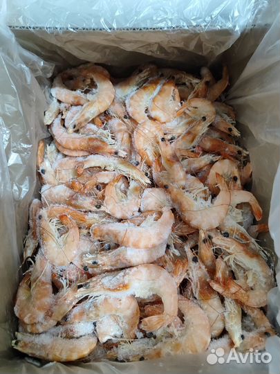 Креветки королевские 50-70