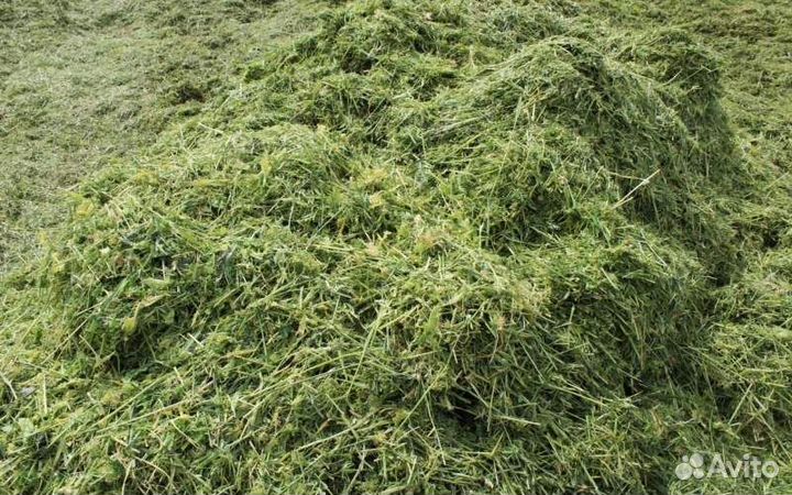 Продается сенаж
