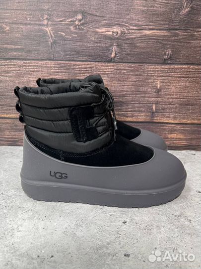 Ботинки ugg с голошами женские premium