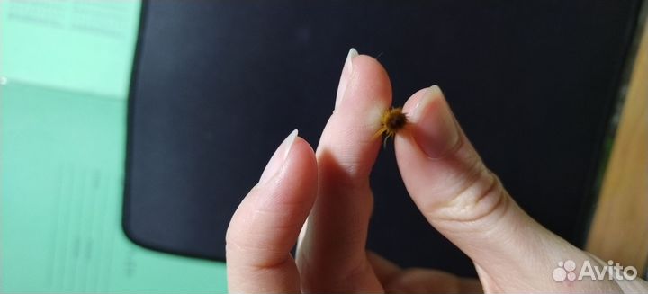 Кисть художественная синтетика №3