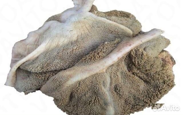 Рубец говяжий