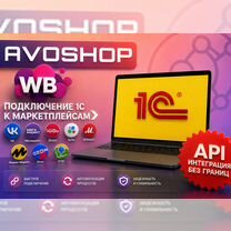 Интеграция 1С с Авито Авошоп, Клин