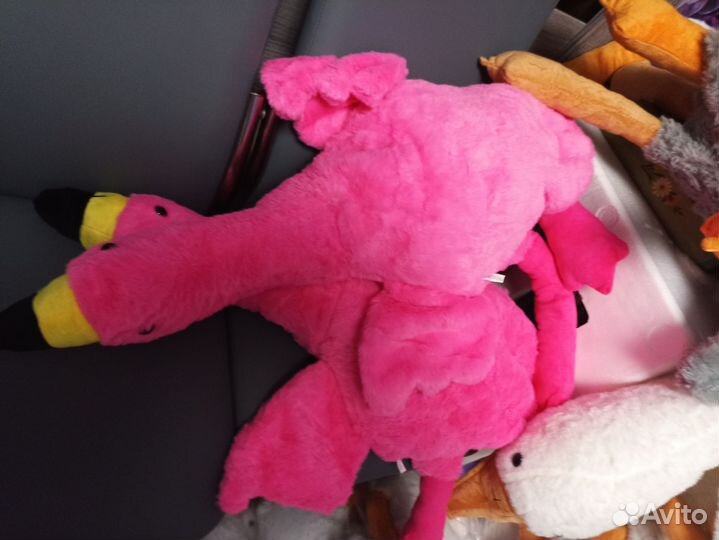 Гусь обнимусь