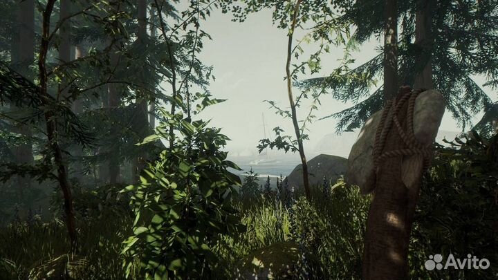 The Forest на PS4 / PS5