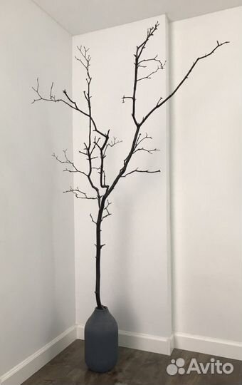 Дерево для интерьера