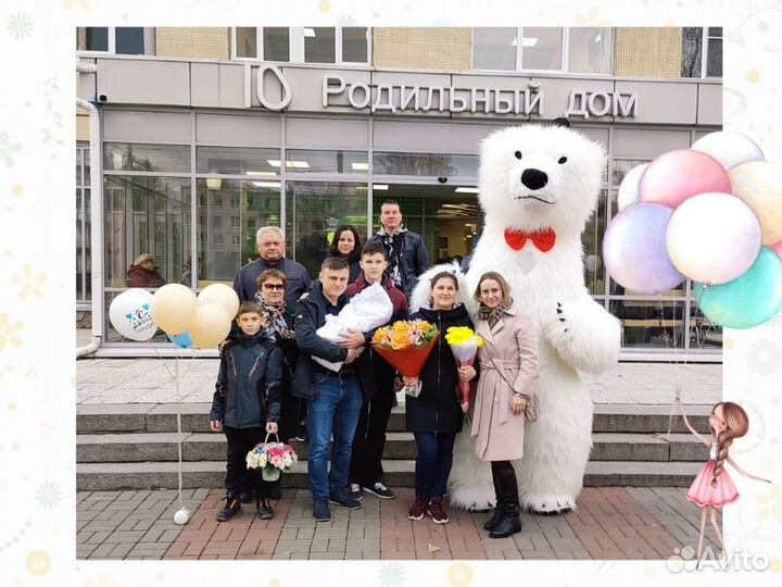 Белый мишка поздравление Аниматоры