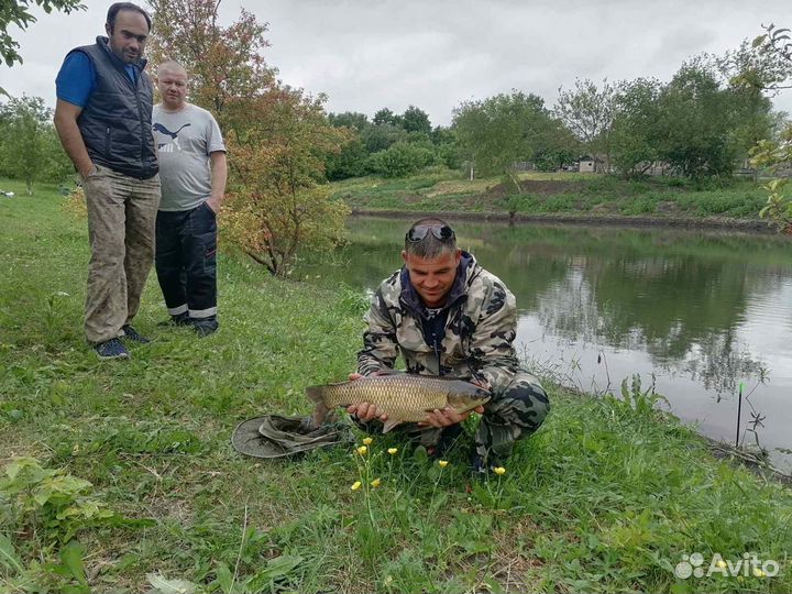 Платная рыбалка на карпа в Подмосковье в парке отдыха и рыбалки 