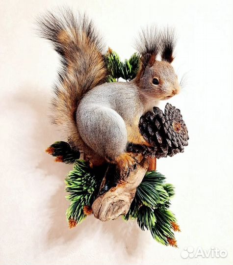 Профессиональные чучела животных и птиц