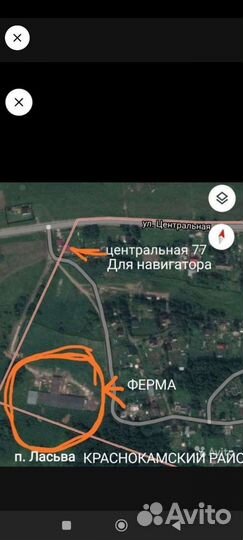 Мясо индюка,гуся,утки,перепела