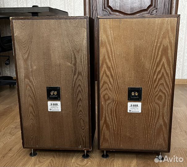 Акустическая система radiotehnika s50b