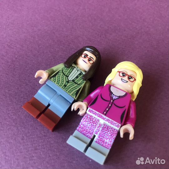 Lego the Big Bang Theory