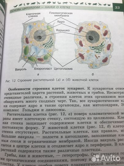 Учебник Биология 9 класс пасечник