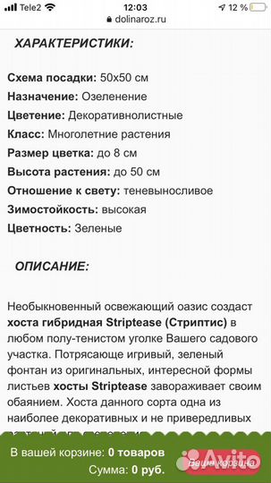 Хоста