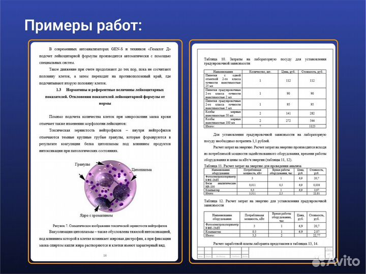 Синергия Помощь с оформлением Диплома Курсовой Про