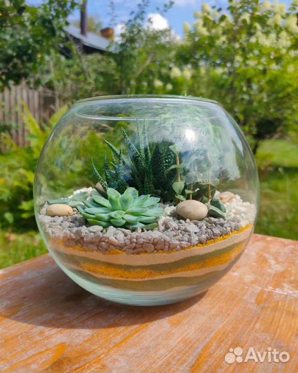 Флорариум с суккулентами-микс