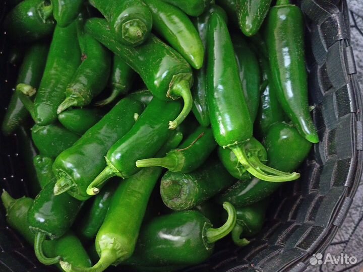 Перец халапеньо свежий
