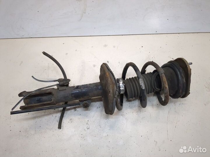 Амортизатор подвески Toyota Corolla Verso, 2003