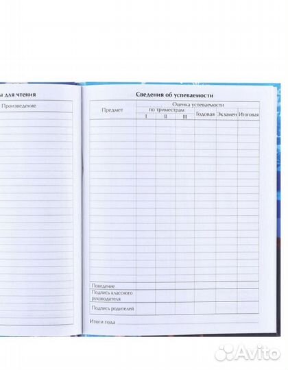 Дневник школьный холодное сердце