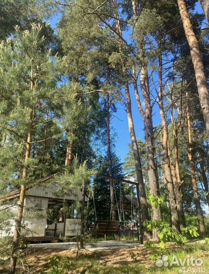 Аренда дома. Семейный отдых, праздники