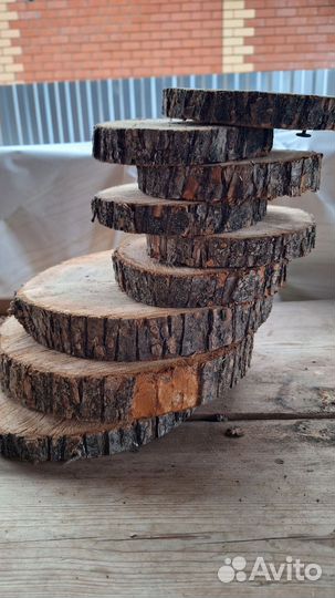 Спилы из дерева