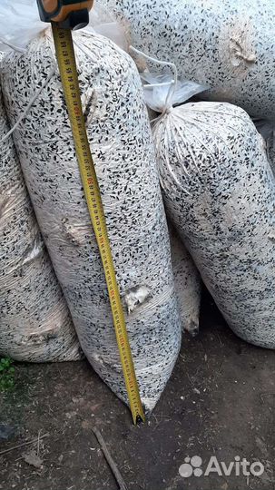 Отработанные грибные блоки