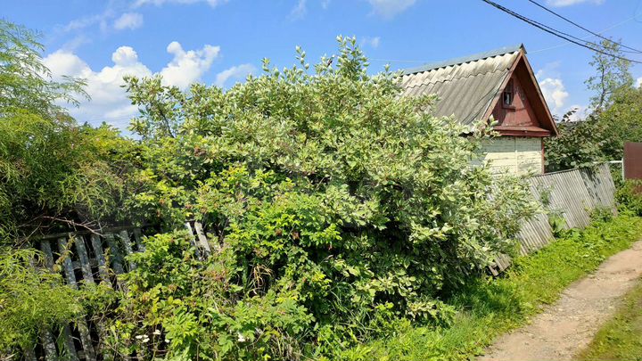 Дача 15 м² на участке 4 сот.