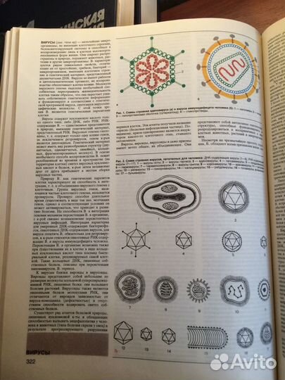 Малая Медицинская энциклопедия год издания 1991