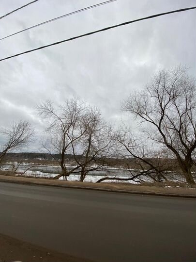 Участок 11 сот. (ИЖС)