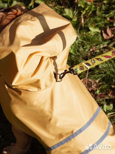 Плащ-дождевик для собак - Манго