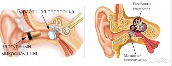 Микронаушники для экзаменов