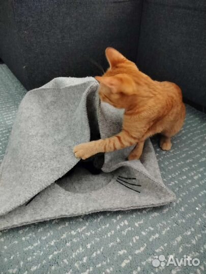 Домик для кошки войлочный