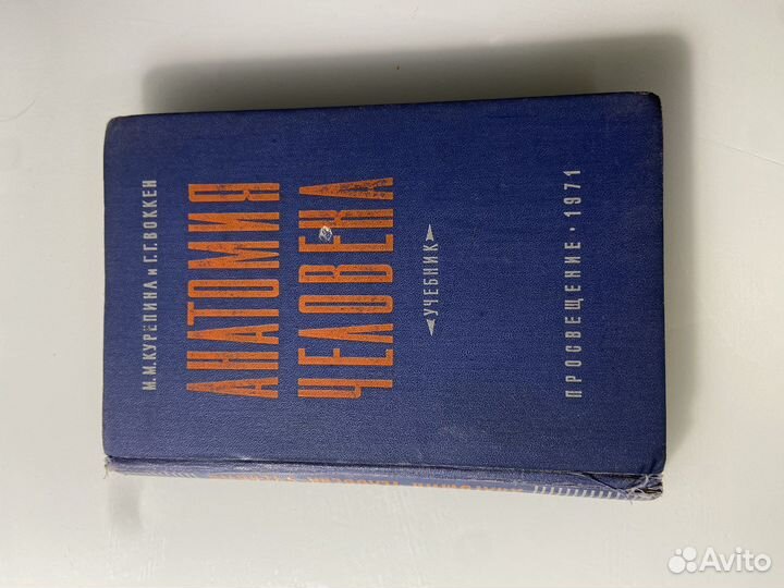 Книги по анатомии