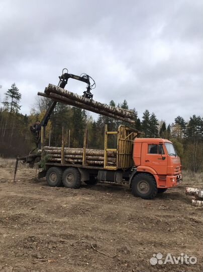 КАМАЗ 43118, 2013