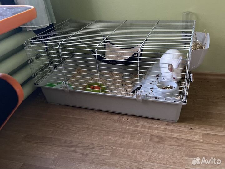 Клетка для кролика