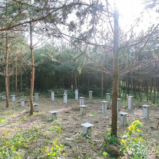 Фундамент на сваях