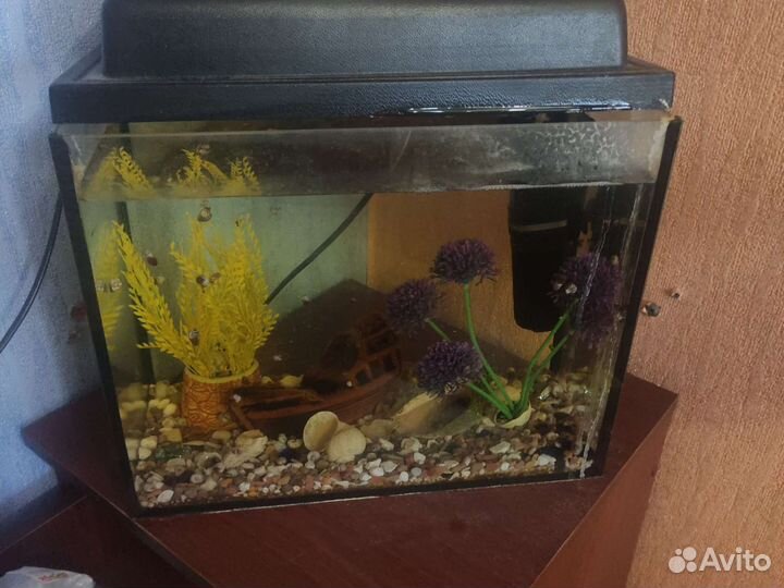Аквариум 36х20х29 см