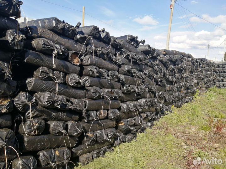 Грибные блоки органическое удобрение