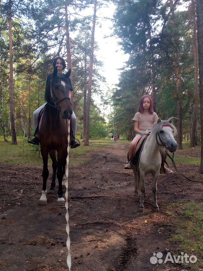 Прокат на лошади и пони, выезд на праздники