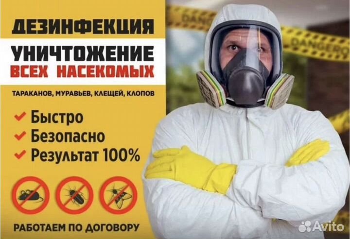 Уничтожение тараканов клопов клещей мышей