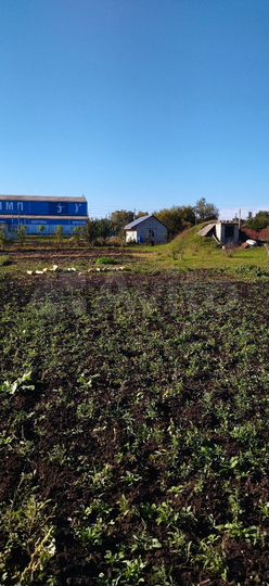 Участок 12 сот. (ИЖС)