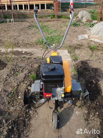 Культиватор Pubert Primo 65B D2