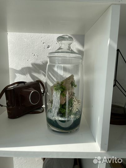 Флорариум (моссариум)