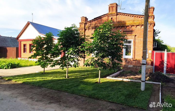 Рулонный газон, Автополив