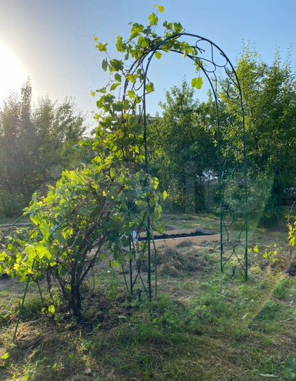 Дача 38 м² на участке 6 сот.