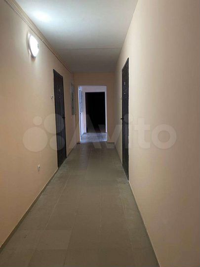 2-к. квартира, 56,4 м², 2/3 эт.