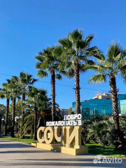 Доверительное управление недвижимостью