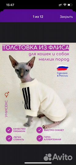 Одежда для кошек