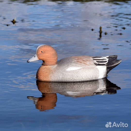 Чучела уток для охоты