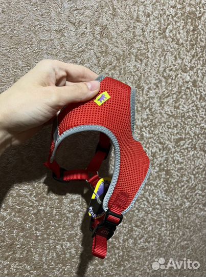 Шлейка для маленькой собаки